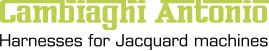 logo copia